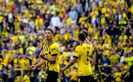 دورتموند با یک برد پرگل در تعقیب بایرن مونیخ ماند