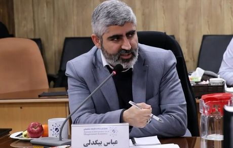 تیراندازی به خودروی نماینده تاکستان / متهمین دستگیر شدند