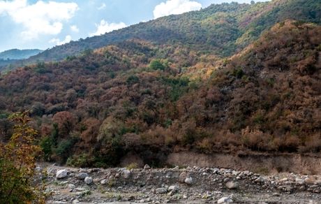 ورود به جنگل‌های هیرکانی ممنوع شد