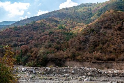 ورود به جنگل‌های هیرکانی ممنوع شد