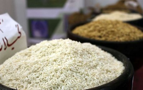امسال، ۱.۲ میلیون تن برنج در استان مازندران تولید شد