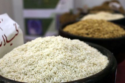 امسال، ۱.۲ میلیون تن برنج در استان مازندران تولید شد