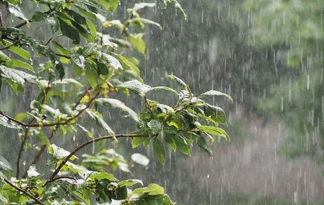 هشدار هواشناسی: رگبار باران و وزش باد در ۱۲ استان/خیزش گردوخاک در ۱۰ استان