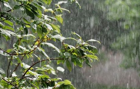 هشدار هواشناسی: رگبار باران و وزش باد در ۱۲ استان/خیزش گردوخاک در ۱۰ استان