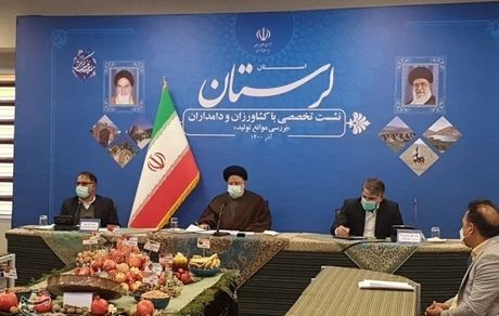 نیازمند راه‌اندازی صنایع تبدیلی هستیم تا از خام‌فروشی جلوگیری شود