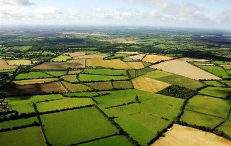 صدور سند برای اراضی کشاورزی سبب تثبیت وضع موجود می شود