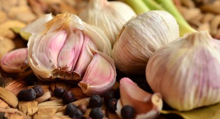 اگر جزو این افراد هستید، سیر نخورید
