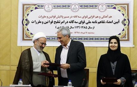 آغاز به کار گروه‌های تخصصی سه قوه در زمینه تنقیح قوانین
