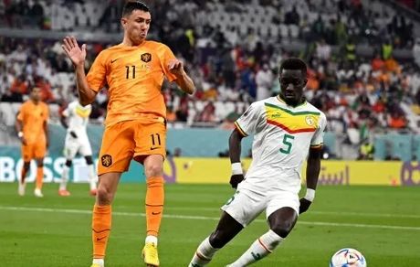 هلند ۲ - سنگال صفر/ پیروزی سخت لاله‌های نارنجی در اولین گام