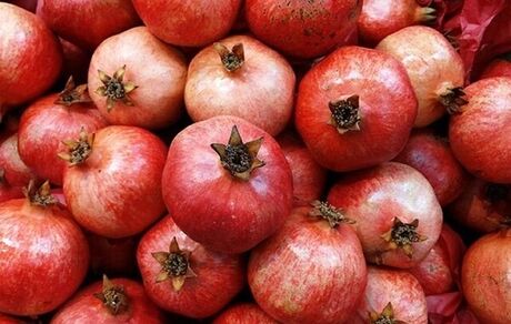 جزئیات اولین جشنواره انار در نمهیل خلخال