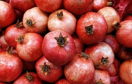 جزئیات اولین جشنواره انار در نمهیل خلخال