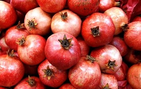 جزئیات اولین جشنواره انار در نمهیل خلخال