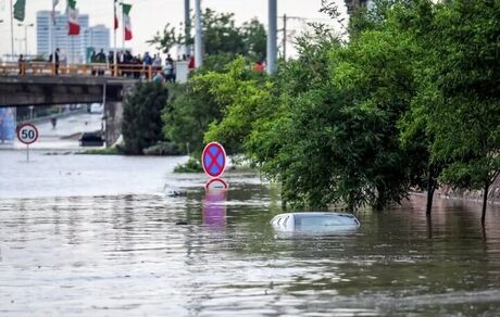 مشهدی‌ها در خانه بمانند