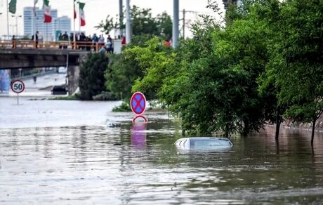 مشهدی‌ها در خانه بمانند