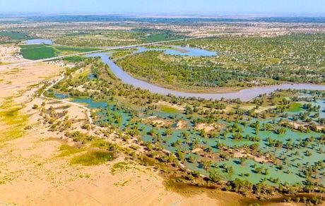 چین یک بیابان را به جنگل تبدیل کرد