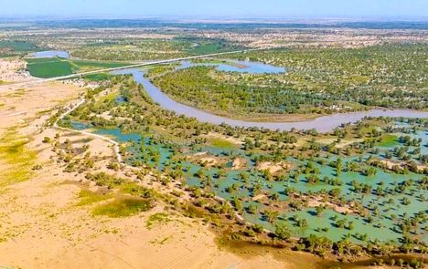 چین یک بیابان را به جنگل تبدیل کرد