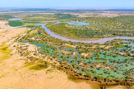 چین یک بیابان را به جنگل تبدیل کرد