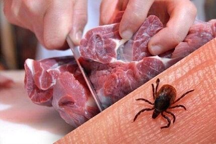 شیوع چشم گیر بیماری تب کریمه کنگو در افغانستان
