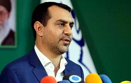 زارع: در صورت حذف ارز ترجیحی یارانه نقدی و معیشتی پرداخت می‌شود
