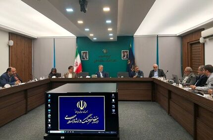 سند هنرهای تجسمی باید سیاست‌های اجرایی هر حوزه را تعیین کند