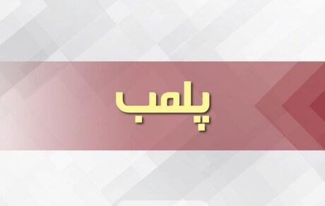 یک باغچه رستوران در اسلامشهر بدلیل تولد مختلط پلمب شد