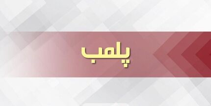 یک باغچه رستوران در اسلامشهر بدلیل تولد مختلط پلمب شد