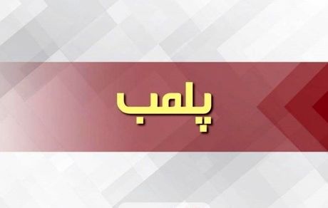 یک باغچه رستوران در اسلامشهر بدلیل تولد مختلط پلمب شد