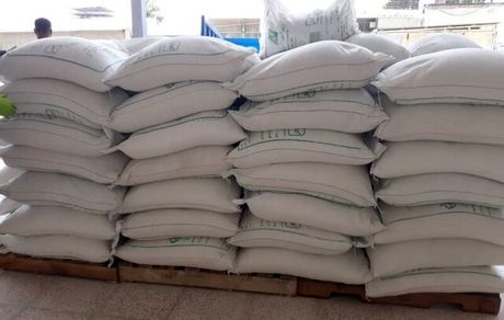 واردات شکرخام از ۸ آذرماه آغاز می‌شود