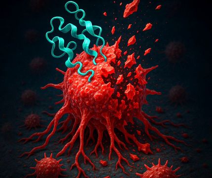 کشف هیجان انگیز دانشمندان درخصوص سلول‌های سرطانی