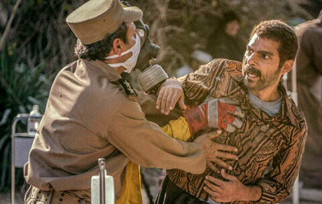مقصد تازه «درخت گردو» مشخص شد