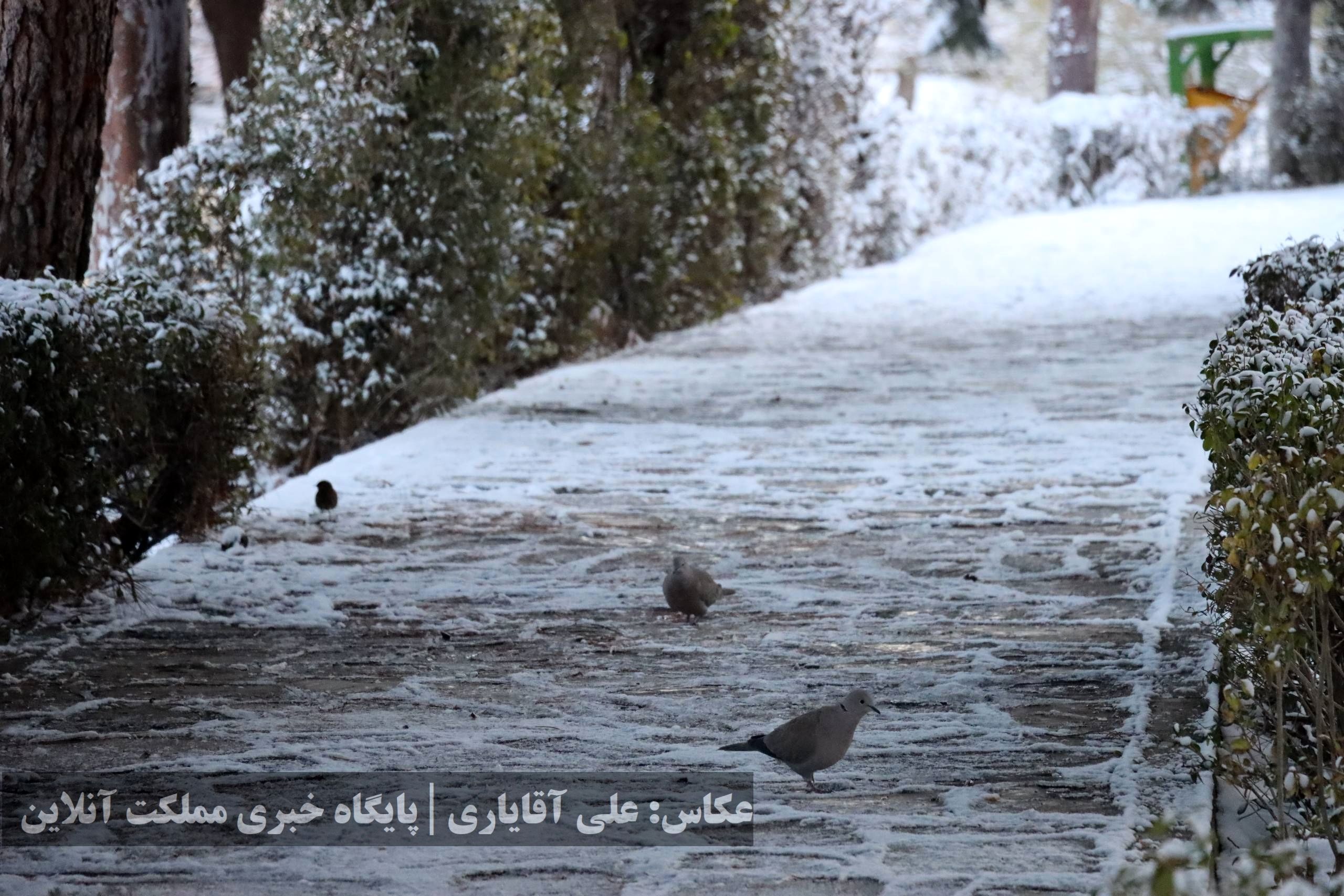 بارش برف در ارومیه