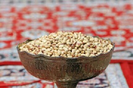 جشنواره پسته در روستای رباط شهربابک برگزار شد