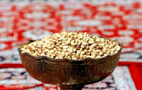 جشنواره پسته در روستای رباط شهربابک برگزار شد