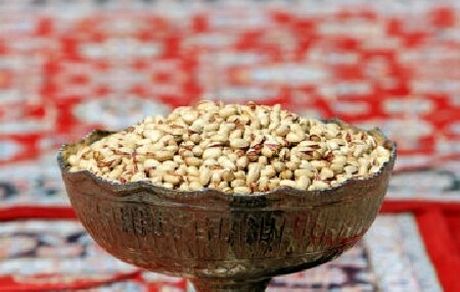 جشنواره پسته در روستای رباط شهربابک برگزار شد