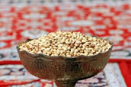 جشنواره پسته در روستای رباط شهربابک برگزار شد