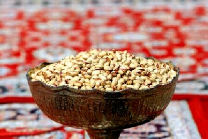 جشنواره پسته در روستای رباط شهربابک برگزار شد