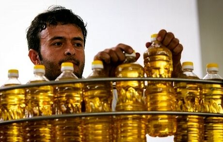 ممنوعیت واردات روغن موقتی است