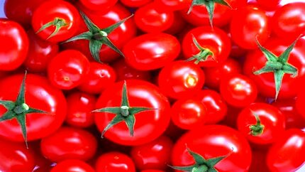 قیمت گوجه فرنگی به ۷۰ هزار تومان رسید