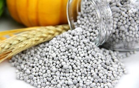 قیمت کود فسفاته در هفته جاری تعیین خواهدشد