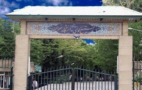 تجمع تعدادی از دانشجویان در کوی دانشگاه تهران
