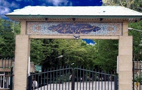 تجمع تعدادی از دانشجویان در کوی دانشگاه تهران