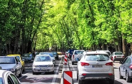 کاهش افسردگی با زندگی در کنار درختان