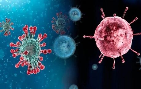 جان باختن ۷ نفر در استان یزد بدلیل آنفلوآنزا