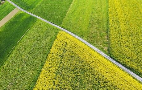 وزیر جهادکشاورزی: طرح الگوی کشت یک‌بار برای همیشه باید عملیاتی شود