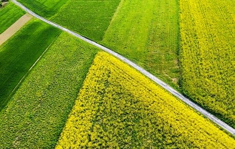 وزیر جهادکشاورزی: طرح الگوی کشت یک‌بار برای همیشه باید عملیاتی شود