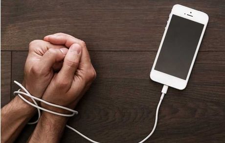 دستگیری عامل انتشار تصاویر حیوان‌آزاری در فضای مجازی در سردشت