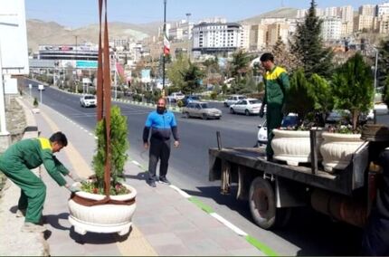 کاشت ۲۰۰ هزار گل فصلی گلدانی در اراک در آستانه بهار