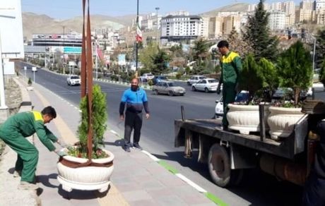 کاشت ۲۰۰ هزار گل فصلی گلدانی در اراک در آستانه بهار