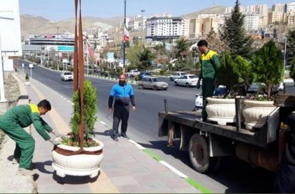کاشت ۲۰۰ هزار گل فصلی گلدانی در اراک در آستانه بهار
