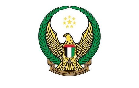 پایان مأموریت باقی‌مانده یگان‌های امارات در یمن